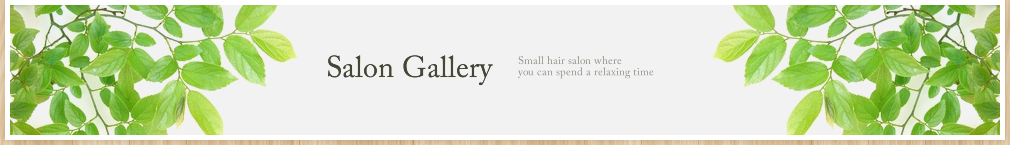 Salon Gallery